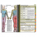 PApocket® Physician Assistant University of Evansville